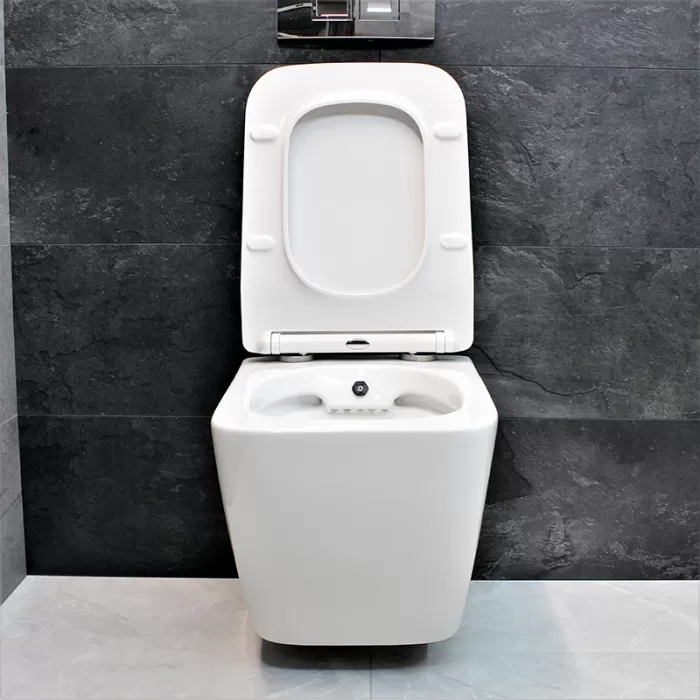 Унитаз-биде подвесной Dusel Cubis Mix DWHT10201030М со смесителем и сиденьем Slim Soft-Close