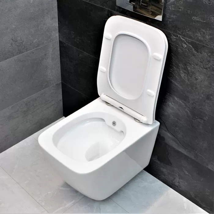 Унитаз-биде подвесной Dusel Cubis Mix DWHT10201030М со смесителем и сиденьем Slim Soft-Close