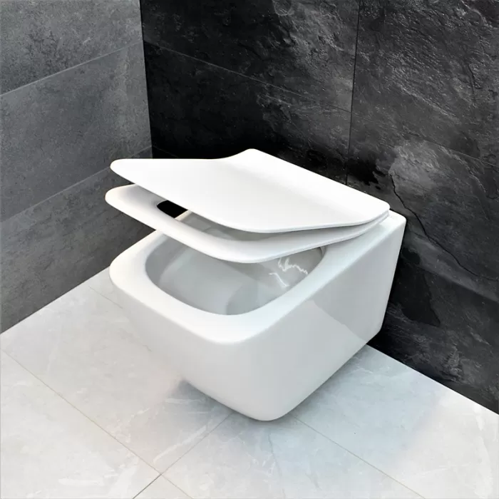 Унитаз-биде подвесной Dusel Cubis Mix DWHT10201030М со смесителем и сиденьем Slim Soft-Close
