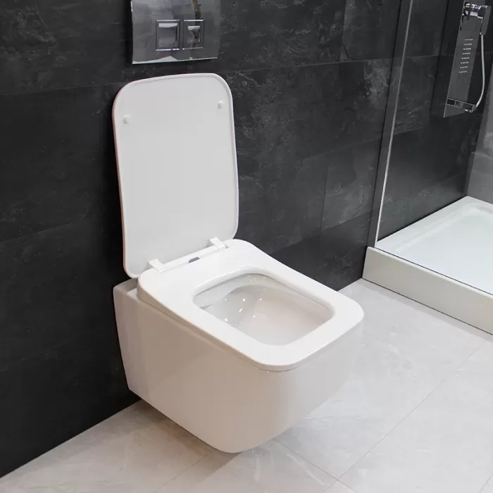 Унитаз подвесной Dusel Lunar DWHT10201530R с сиденьем Soft Close дюропласт