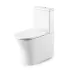 Унітаз-компакт Dusel Sabrina DTPT10213430P з бачком і сидінням Soft Close дюропласт